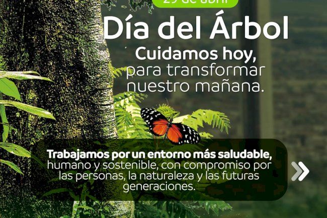 Cuidar el ambiente es cuidar la salud